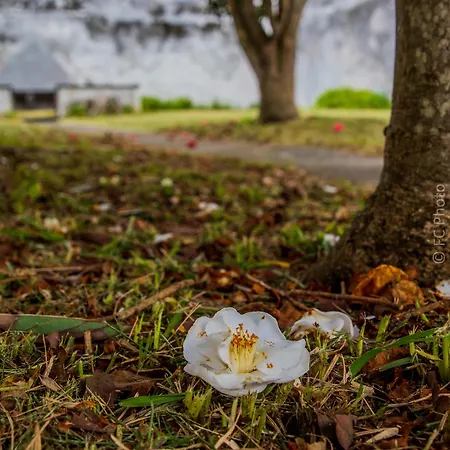 Frühstückspension Cc - 